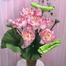 Set hoa sen giấy nhún handmade