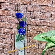 Hộp hoa sáp xanh quai xích